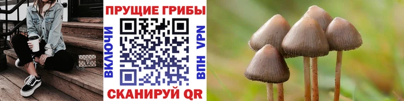 где купить   MEGA ТОР  Псилоцибиновые грибы прущие грибы  Горячий Ключ 